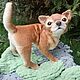  Интерьерная кукла: собачка чихуахуа. Мягкие игрушки. Коробка с игрушками. Интернет-магазин Ярмарка Мастеров.  Фото №2