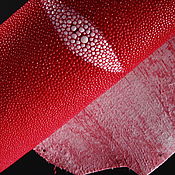Материалы для творчества handmade. Livemaster - original item Sea stingray skin, skin, width 21-22 cm IMC2004R. Handmade.
