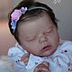 Reborn Alexis. Куклы Reborn. Елена Горбунова (Elena Gorbunova). Ярмарка Мастеров.  Фото №6