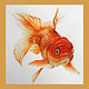 Watercolor goldfish. Pictures. tinaryART (tinaryART). Online shopping on My Livemaster.  Фото №2