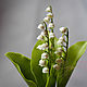 Botanical sculpture 'Lily of the valley'. Flowers. KG_flowers. My Livemaster. Фото №5