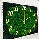 Order Clock made of stabilized moss. Антонина Литовкина - Озеленение (Планета Флористики). Livemaster. . Watch Фото №3
