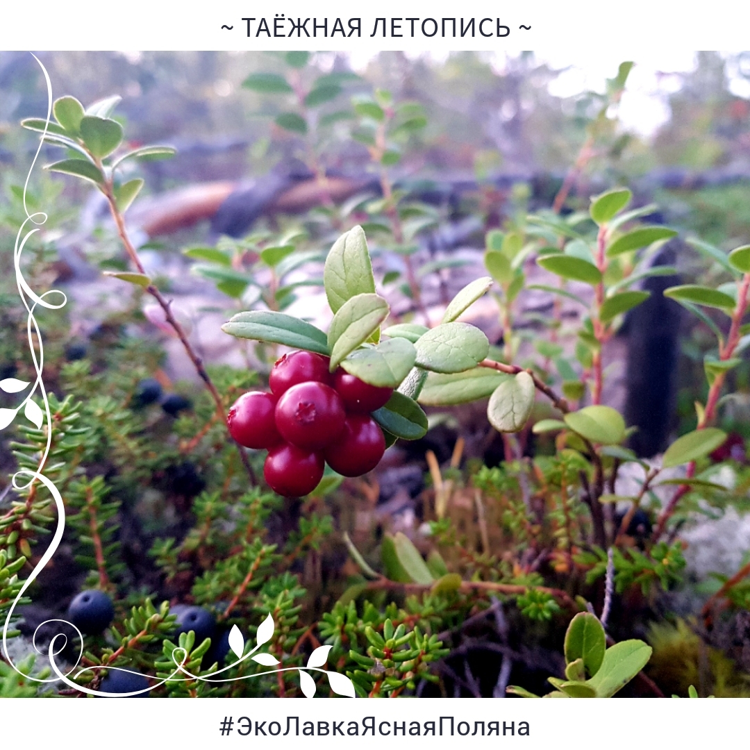 Мой профиль