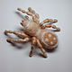 Brooch 'Spider 7'. Brooches. Shahtinochka. Online shopping on My Livemaster.  Фото №2