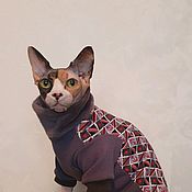 Зоотовары handmade. Livemaster - original item Cat clothes Sweatshirt with velvet inside 