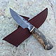 Knife 'wild boar-2' khh12mf stab.karelians.birch tree, Knives, Vorsma,  Фото №1
