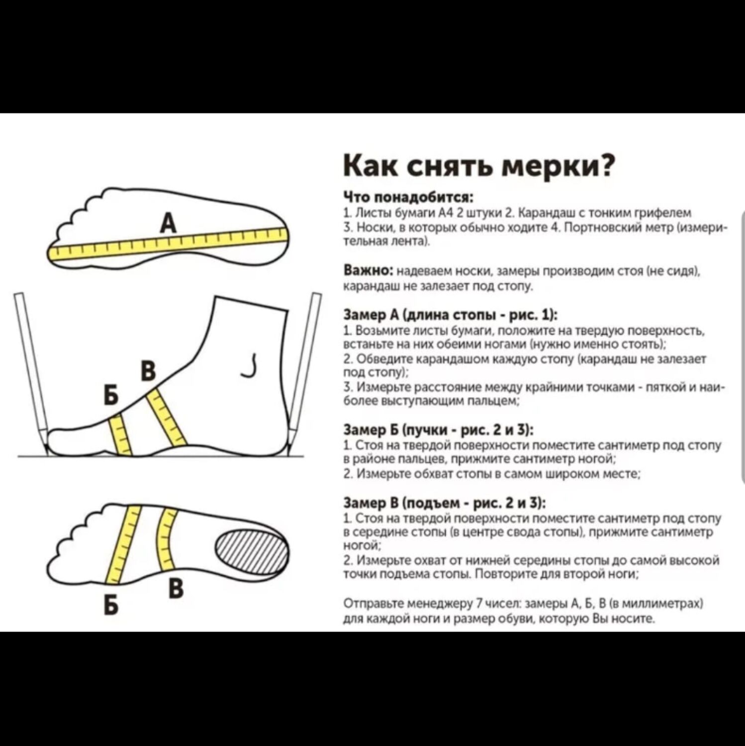 Как правильно мерять стопу для определения размера