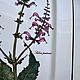 Villeroy & Boch Блюдо Botanica. Тарелки винтажные. Porzellan style. Ярмарка Мастеров.  Фото №4