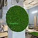 Круг из мха. Фитокартины. Green.Box. Интернет-магазин Ярмарка Мастеров.  Фото №2