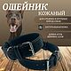 Ошейник для собак натуральная кожа. Ошейники. Urban Cat. Ярмарка Мастеров.  Фото №6