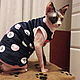 Clothing for cats 'Baby', Pet clothes, Biisk,  Фото №1