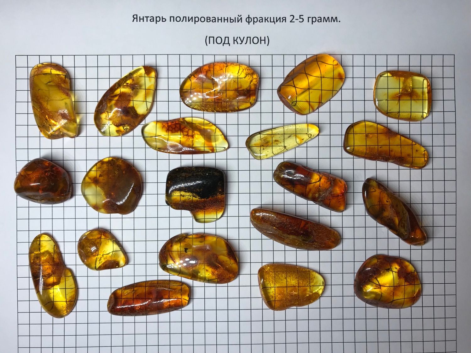 Янтарь рассеивает тьму сколько томов. Фракции янтаря. Янтарь фракция 200г. Янтарь фракция 23. Фракция 122 янтарь.