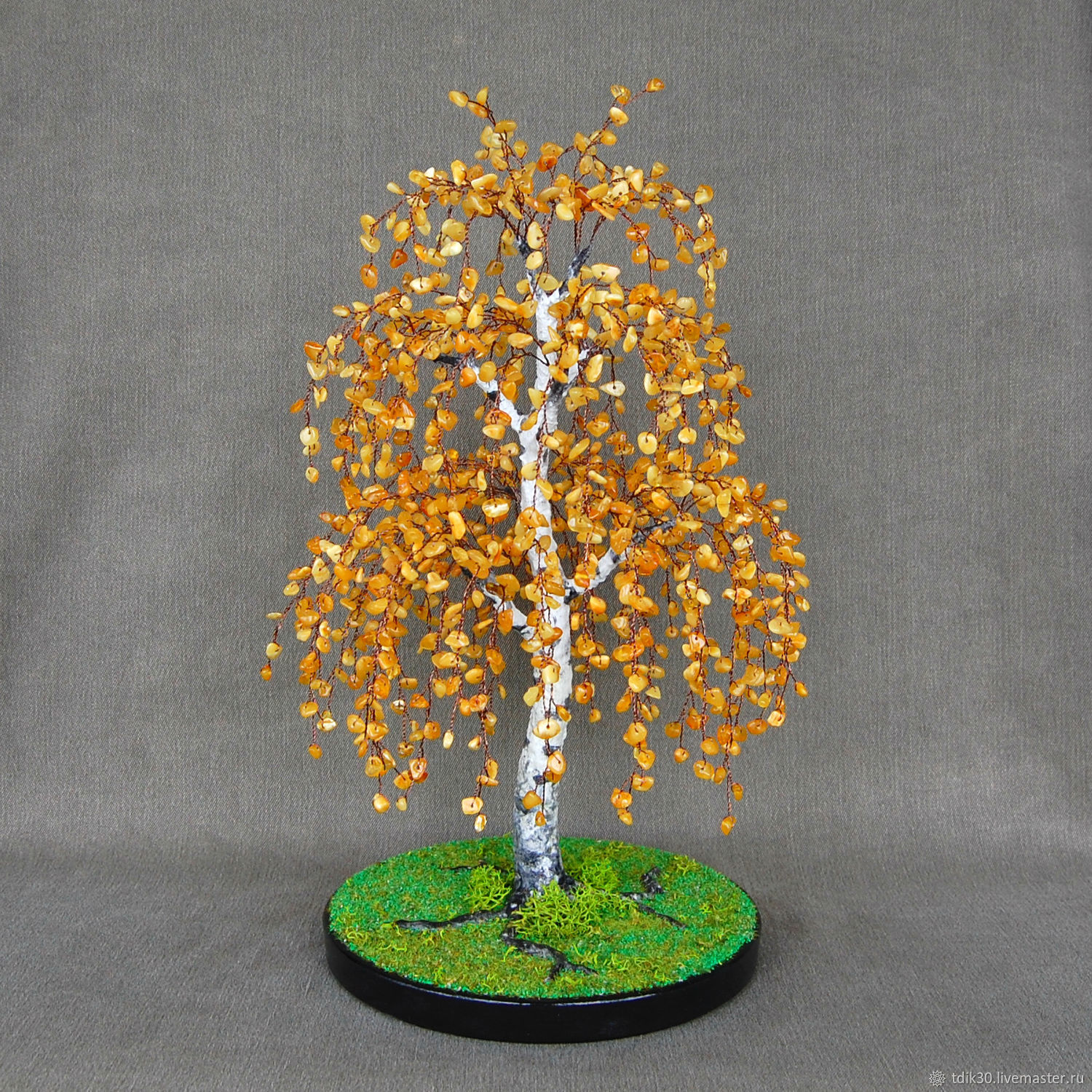 Birch from Baltic amber, Trees, Maikop,  Фото №1