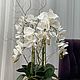 Ботаническая копия орхидеи, Элементы интерьера, Краснодар,  Фото №1