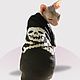 Order Sweater 'Skull' (Different color). anyapetrova05. Livemaster. . Pet clothes Фото №3