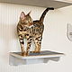 Shelf average 'Comfort', Accessories for Pets, Pleasant,  Фото №1