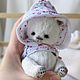Белый котёнок тедди милый котик teddy cat кот игрушка, Тедди Зверята, Новосибирск,  Фото №1