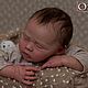 Charlee от Andrea Arcello, Заготовки для кукол и игрушек, Краснодар,  Фото №1