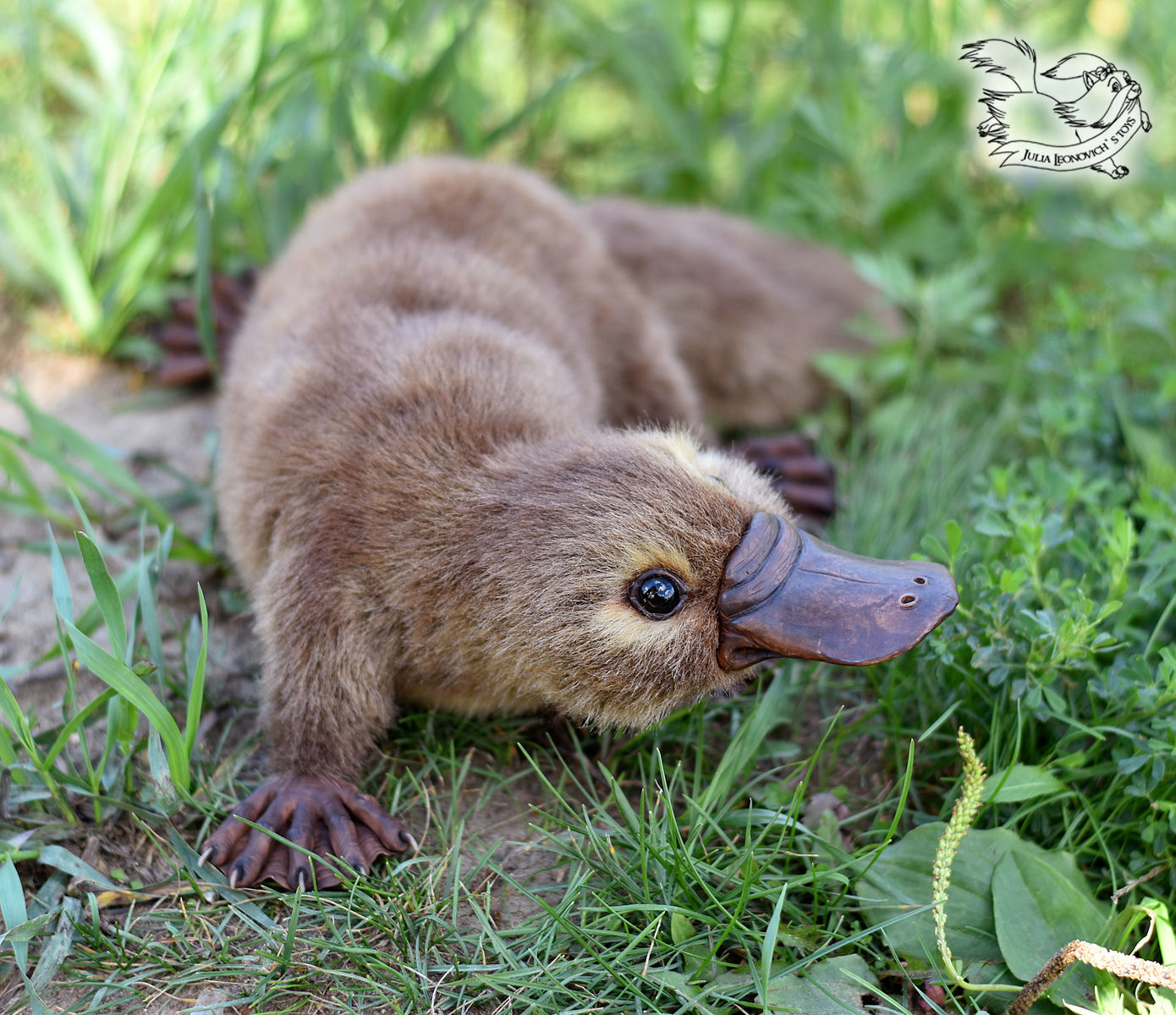 Platypus