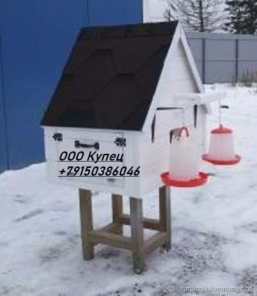 Голубиный дом на окраине Иркутска - Областная газета luchistii-sudak.ru