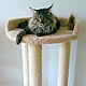 scratching post 'Dream' (for large cats), Scratching Post, Ekaterinburg,  Фото №1