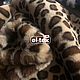 Ecomech 'Leopard' from 0,5 POG. m. Fur. El-tex. My Livemaster. Фото №5