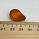 Янтарь. Калининград. 2 гр. 10 ct. Минералы. MOON CRYSTALS. Ярмарка Мастеров.  Фото №13