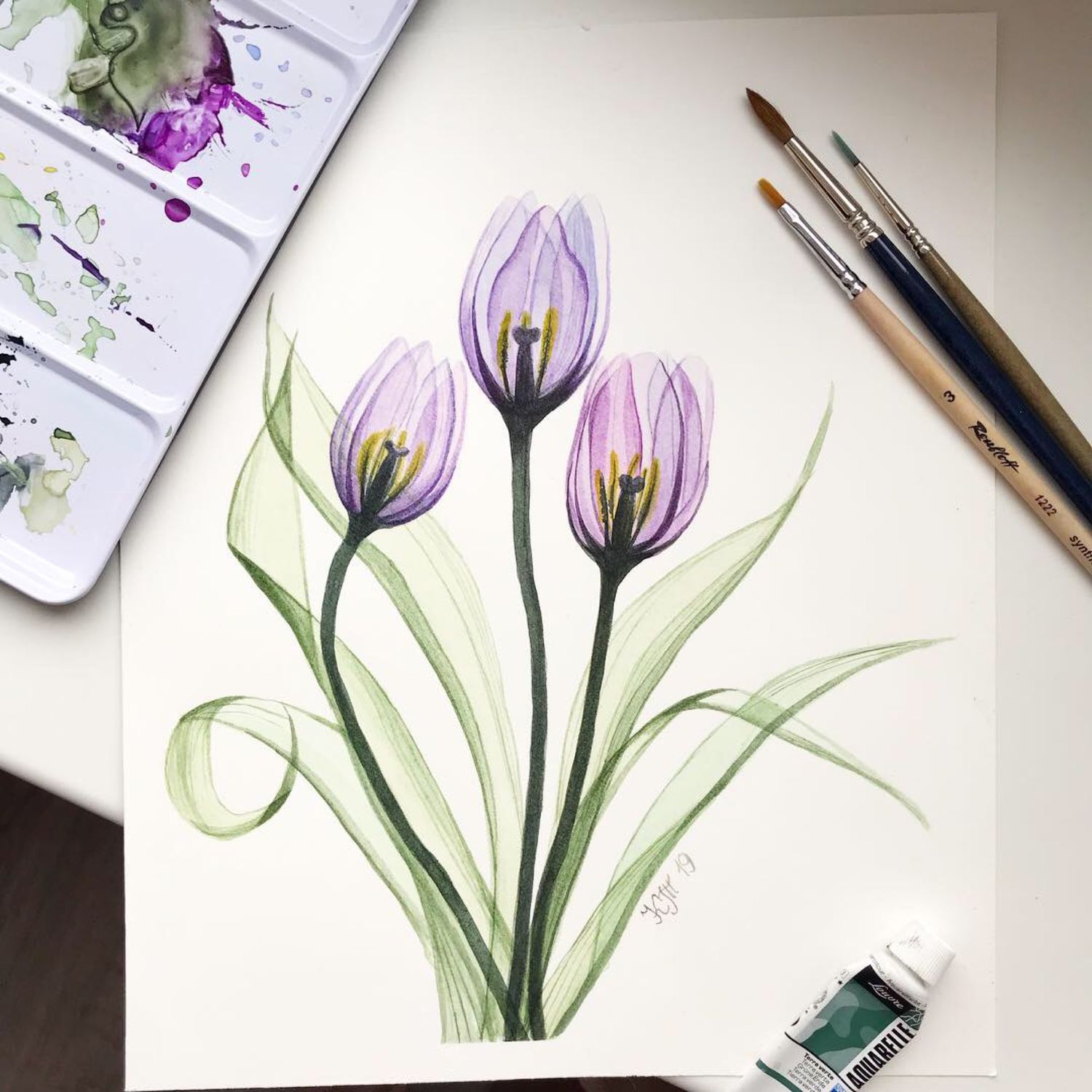 Ботаническая живопись тюльпаны