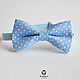Tie the Blue lagoon / bow tie, blue wedding, Ties, Moscow,  Фото №1
