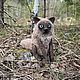 Котик с колбаской. Мягкие игрушки. ЗИМА. Ярмарка Мастеров.  Фото №8
