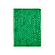 Passport cover 'Euro' Green Python, Passport cover, Moscow,  Фото №1