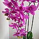 Orchid in stock. Composition. Dekor sad. Online shopping on My Livemaster.  Фото №2