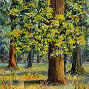 Картины и панно handmade. Livemaster - original item Painting Oak, oak Grove, Oak grove, Oaks, oil on canvas, 18 x 24. Handmade.