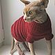 Sweater 'Caterpillar' :) the color is different. Pet clothes. anyapetrova05. My Livemaster. Фото №6
