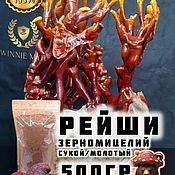 Рейши, Растения, Дзержинск,  Фото №1