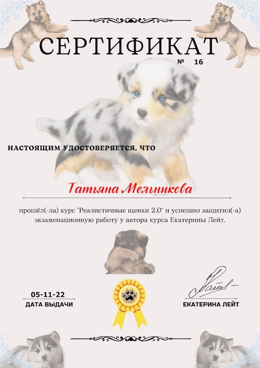 Мой профиль