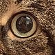 Колье "Кошки" кошачий глаз, позолота 14К. Колье. Butik4you. Интернет-магазин Ярмарка Мастеров.  Фото №2