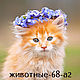 Print for embroidery ribbons - Animals, cats, Patterns for embroidery, Chelyabinsk,  Фото №1