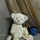  Котик Пушок. Тедди Зверята. Ручные мишки Тедди (tamedteddybears). Ярмарка Мастеров.  Фото №13
