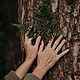   Тайны леса, 3 мл. Духи. Wild Mystery Perfumes. Ярмарка Мастеров.  Фото №4