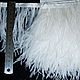 Copy of Trim of ostrich feathers 10-15 cm white and milk. braid. weakne (weakne). Интернет-магазин Ярмарка Мастеров.  Фото №2
