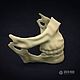 Заказать Полумаска Skull (заготовка). Творческая мастерская GreenMade. Ярмарка Мастеров. . Маски персонажей Фото №3