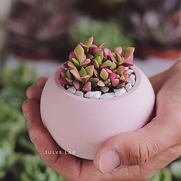Цветы и флористика ручной работы. Ярмарка Мастеров - ручная работа Бетонный горшок с санрайзом Шар Розовые сны. Handmade.