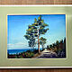 Order  The sky. Sea. Pine. Original. Pastel. Valeria Akulova ART. Livemaster. . Pictures Фото №3