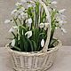 Bouquet of snowdrops ' Galanthus', Flowers, Moscow,  Фото №1