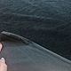 Заказать Мех для Тедди, Bubu 12293140. Натуральный шелк (naturalsilk). Ярмарка Мастеров. . Материалы для кукол и игрушек Фото №3