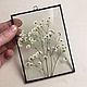 The herbarium in the glass 'White gypsophila', Suspension, Moscow,  Фото №1