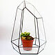 The Floriana. Geometric vase for Floriana. The Floriana for plants. Florariums. Glass Flowers. My Livemaster. Фото №4