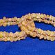 Spiral bracelet on a string of medical raw amber, Bead bracelet, Belokuriha,  Фото №1