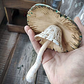Для дома и интерьера handmade. Livemaster - original item Suspension: Ceramic mushroom, fly agaric 